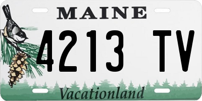 ME license plate 4213TV