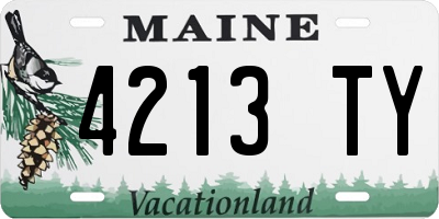 ME license plate 4213TY