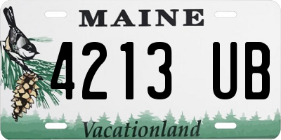 ME license plate 4213UB