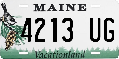 ME license plate 4213UG