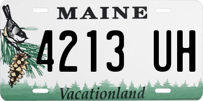 ME license plate 4213UH