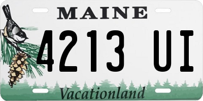 ME license plate 4213UI