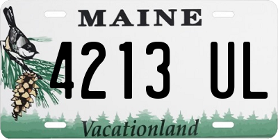 ME license plate 4213UL