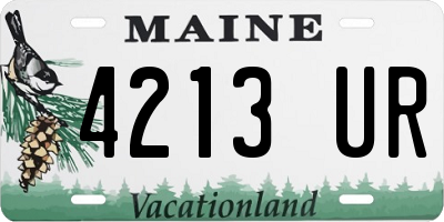 ME license plate 4213UR