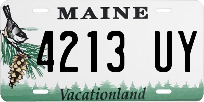 ME license plate 4213UY