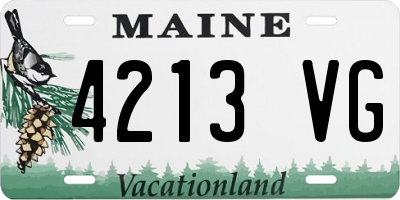 ME license plate 4213VG