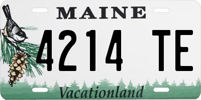 ME license plate 4214TE