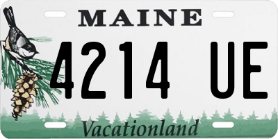 ME license plate 4214UE