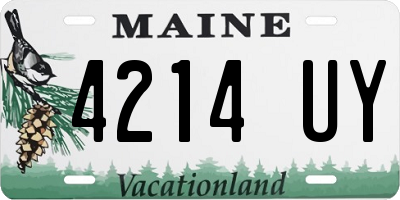 ME license plate 4214UY