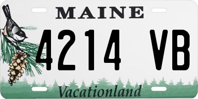 ME license plate 4214VB