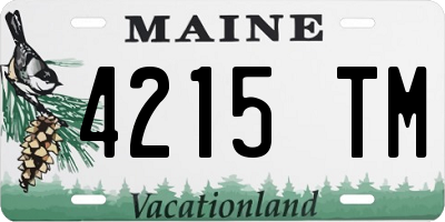 ME license plate 4215TM