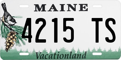 ME license plate 4215TS
