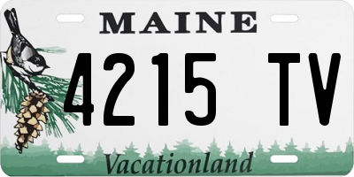 ME license plate 4215TV