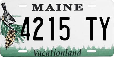 ME license plate 4215TY