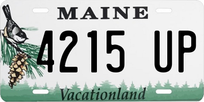 ME license plate 4215UP