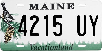 ME license plate 4215UY