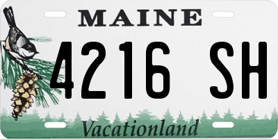ME license plate 4216SH