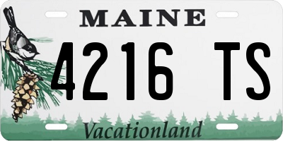 ME license plate 4216TS