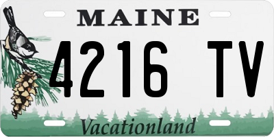 ME license plate 4216TV
