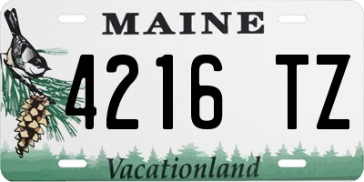 ME license plate 4216TZ