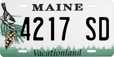 ME license plate 4217SD