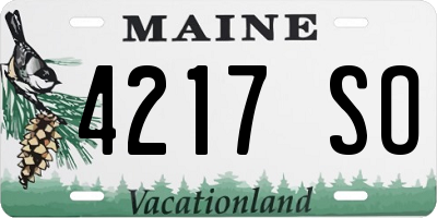 ME license plate 4217SO