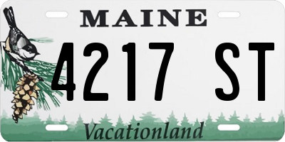 ME license plate 4217ST