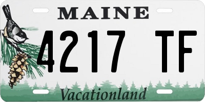 ME license plate 4217TF