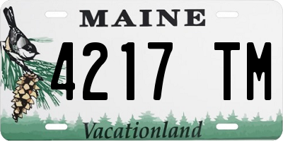 ME license plate 4217TM
