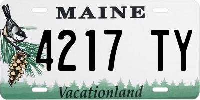 ME license plate 4217TY