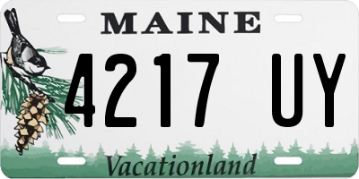 ME license plate 4217UY