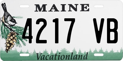 ME license plate 4217VB