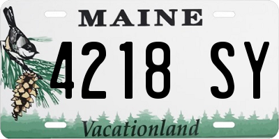 ME license plate 4218SY