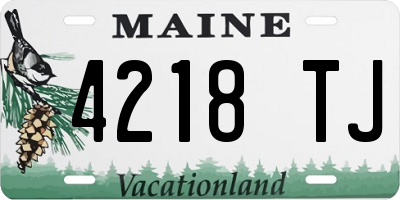 ME license plate 4218TJ