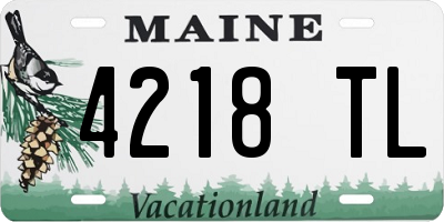 ME license plate 4218TL