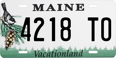 ME license plate 4218TO
