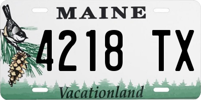 ME license plate 4218TX