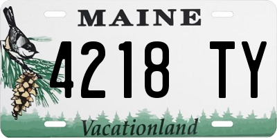 ME license plate 4218TY