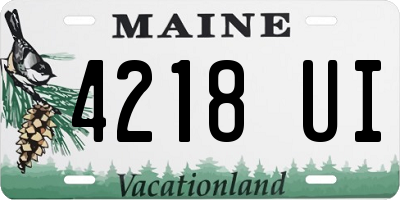 ME license plate 4218UI