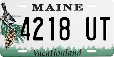 ME license plate 4218UT
