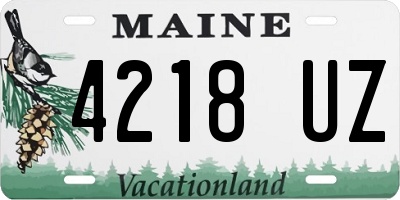 ME license plate 4218UZ