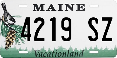 ME license plate 4219SZ