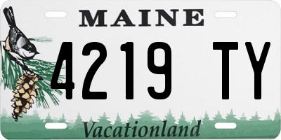 ME license plate 4219TY