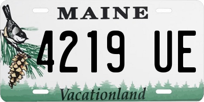 ME license plate 4219UE
