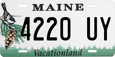 ME license plate 4220UY