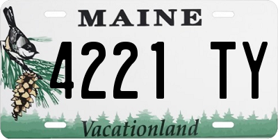 ME license plate 4221TY