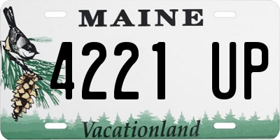 ME license plate 4221UP