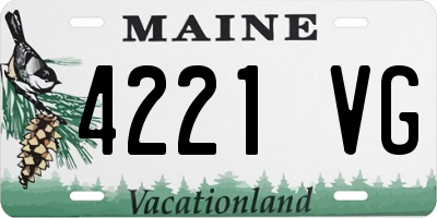 ME license plate 4221VG