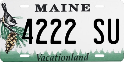 ME license plate 4222SU