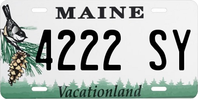 ME license plate 4222SY